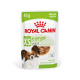 Royal Canin X-Small Adult влажный корм для взрослых собак 85 гр - фото 1