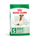 Royal Canin Mini Adult 8+ сухой корм для стареющих собак мелких пород 0.8 кг - фото 1