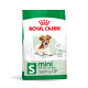 Royal Canin Mini Ageing 12+ сухой корм для пожилых собак мелких пород 0.8 кг - фото 1