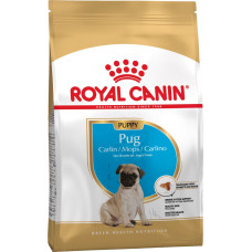 Royal Canin Pug Puppy сухий корм для цуценят породи мопс 1.5 кг