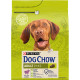 Dog Chow Lamb сухий корм для собак з ягнятком 2.5 кг - фото 1