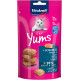Vitakraft Yums Salmon ласощі для котів з лососем, 40 гр - фото 1