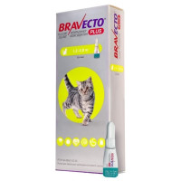 Bravecto Plus (Бравекто Плюс) краплі від бліх, кліщів та глистів для котів вагою від 1.2 до 2.8 кг