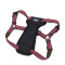 Coastal K9 Explorer Harness шлейка для собак светоотражающая, 66-96 см, пурпурный