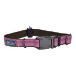 Coastal K9 Explorer Collar нашийник світловідбивний для собак, 30-46 см, рожевий
