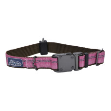 Coastal K9 Explorer Collar ошейник светоотражающий для собак, 30-46 см, розовый
