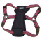 Coastal K9 Explorer Harness шлейка для собак светоотражающая, 30-45 см, пурпурный