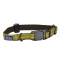 Coastal K9 Explorer Collar ошейник светоотражающий для собак, 20-30 см, желтый