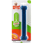 Nylabone Moderate Chew Dental Bone іграшка для собак, 20 см