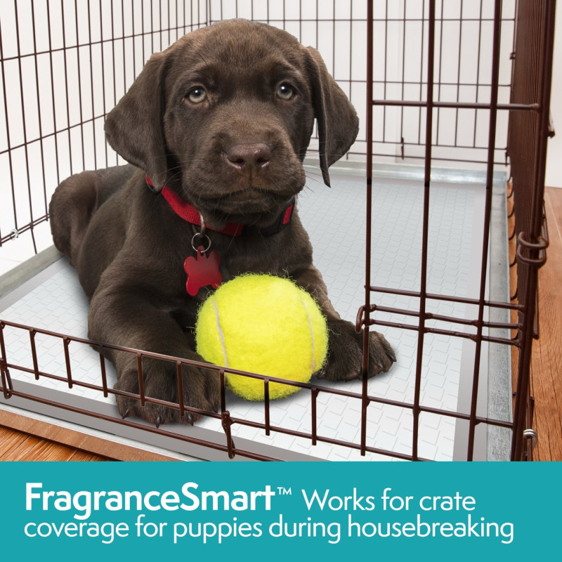 Simple Solution Fragrance Smart Odor Control Puppy Training Pads одноразові пелюшки для собак з ароматом зеленого чаю, 60 см х 61 см, 100 шт - фото 10