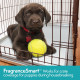 Simple Solution FragranceSmart™ Odor Control Puppy Training Pads одноразовые пеленки для собак с ароматом зеленого чая, 60 см х 61 см, 100 шт - фото 10