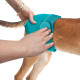Simple Solution Washable Diaper багаторазовий підгузник для собак, розмір M - фото 2