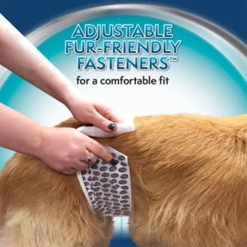 Simple Solution Disposable Male Wrap одноразові підгузники для кобелів, розмір M - фото 4