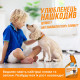 Out! Orange Oxy Stain & Odor Remover спрей для видалення плям та запахів від тварин, 946 мл - фото 4
