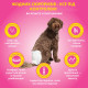 Out! Comfort Dri Disposable Fashion Diapers одноразовые памперсы для собак-самок, 33 - 46 см, 16 шт - фото 4
