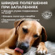 Vet's Best Hot Spot Shampoo шампунь проти свербіння і подразнень для собак, 470 мл - фото 4