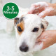 Vet's Best Flea Itch Relief Shampoo шампунь від подразнень шкіри для собак, 470 мл - фото 3