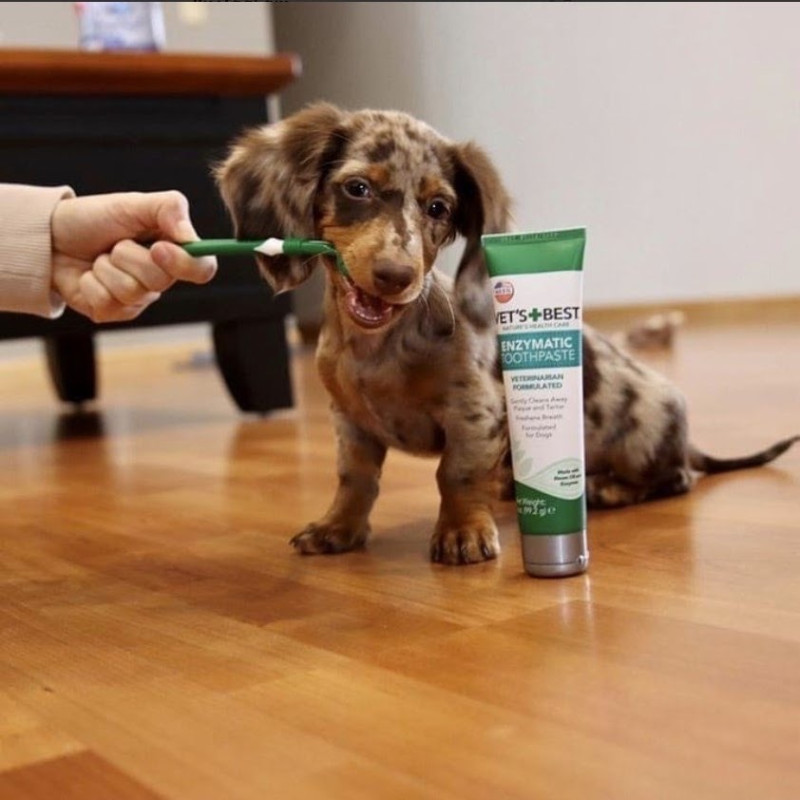 Vet's Best Dental Gel Toothpaste зубна паста для собак, 103 мл - фото 5