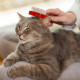 Vet's Best Waterless Cat Bath шампунь без води для котів, 118 мл - фото 4