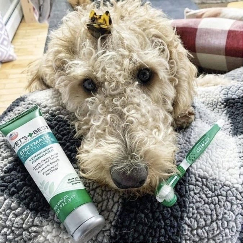 Vet's Best Dental Care Kit набор для гигиены полости рта собак, 103 мл - фото 6