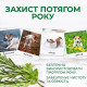 Vet's Best Flea & Tick Shampoo шампунь від бліх та кліщів для собак, 355 мл - фото 3