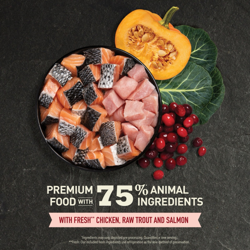 Acana Highest Protein Indoor Cat сухий корм з куркою та рибою для домашніх котів, 4.5 кг - фото 6