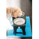 Dexas Adjustable Height Pet Feeder миска двойная с регулируемыми ножками, 2 шт х 960 мл, серая - фото 4