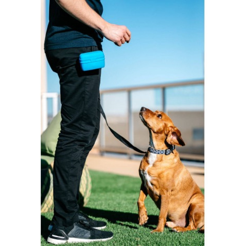 Dexas Pooch Pouch контейнер для лакомств на пояс, голубой - фото 2