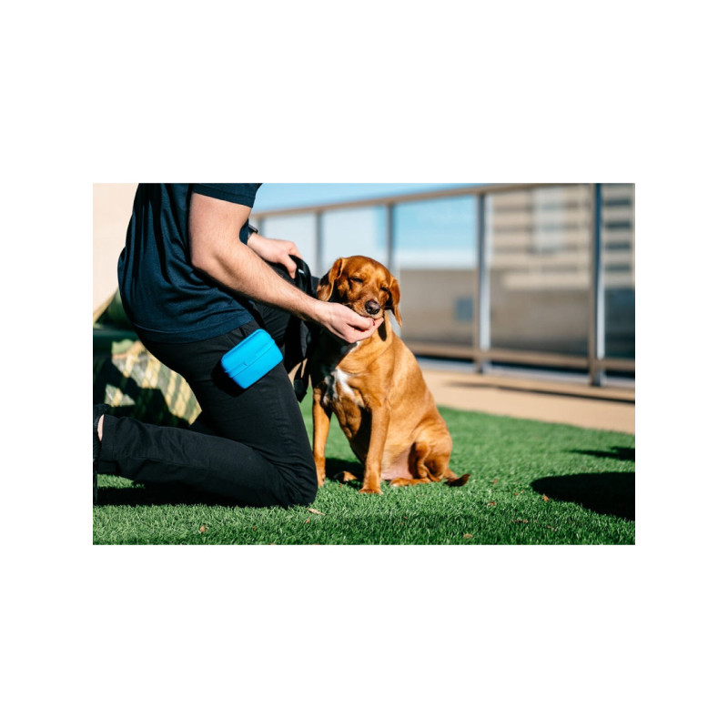 Dexas Pooch Pouch контейнер для лакомств на пояс, голубой - фото 4