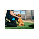 Dexas Pooch Pouch контейнер для лакомств на пояс, голубой - фото 4