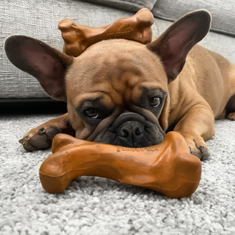 Nylabone Strong Chew Rubber Bone Beef With Gravy игрушка для собак со вкусом говядины, 12 см - фото 3