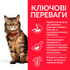 Hill's SP Feline Adult Sensitive Stomach & Skin сухой корм для кошек с чувствительным пищеварением 1.5 кг - фото 2