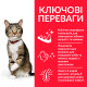 Hill's SP Feline Adult Oral Care Chiken сухой корм с курицей для котов забота о полости рта 7.0 кг - фото 2