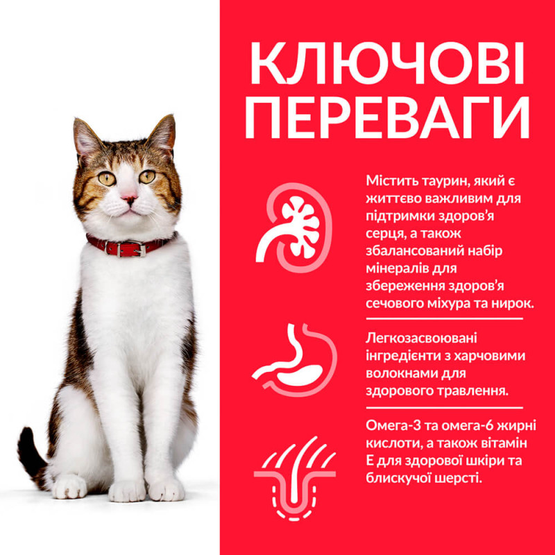 Hill's SP Feline Mature Adult 7+ сухой корм с курицей для стареющих котов, 3 кг - фото 2