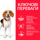 Hill's SP Canine Adult Perfect Weight Medium сухой корм с курицей для поддержания веса у собак средних пород 2 кг - фото 2