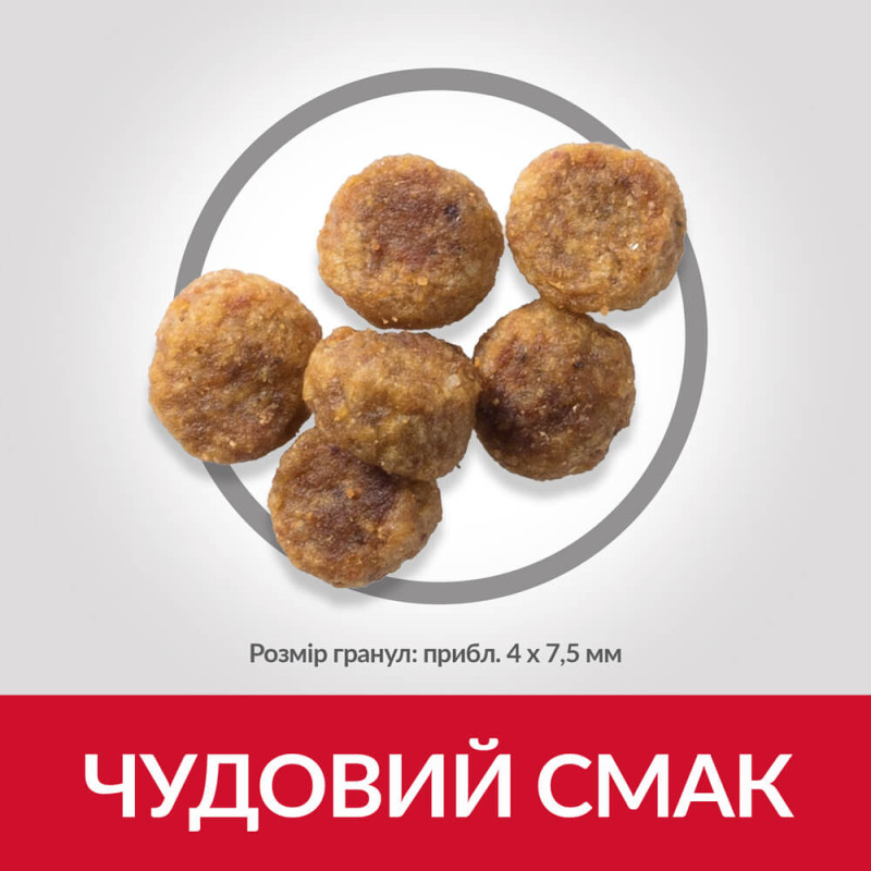 Hill's SP Canine Adult Small & Miniature Lamb & Rice сухий корм з ягнятком для собак малих порід 6 кг - фото 3
