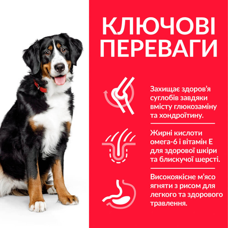 Hill's SP Canine Adult Large Breed Lamb & Rice сухий корм з ягнятком для собак великих та гігантських порід, 12+2 кг - фото 2