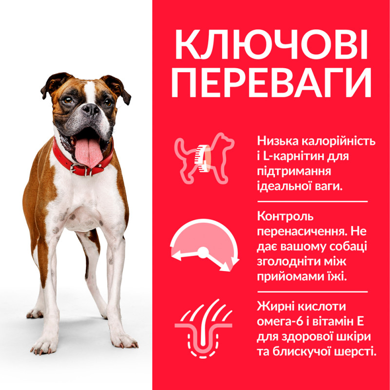 Hill's SP Canine Adult Light Medium сухой корм с курицей для собак средних пород с лишним весом 14 кг - фото 2