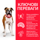 Hill's SP Canine Adult Light Medium сухой корм с курицей для собак средних пород с лишним весом 14 кг - фото 2