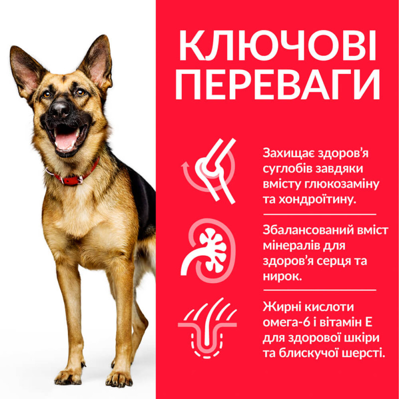Hill's SP Canine Mature Adult Large Breed сухий корм з куркою для старіючих собак великих порід 14 кг - фото 2