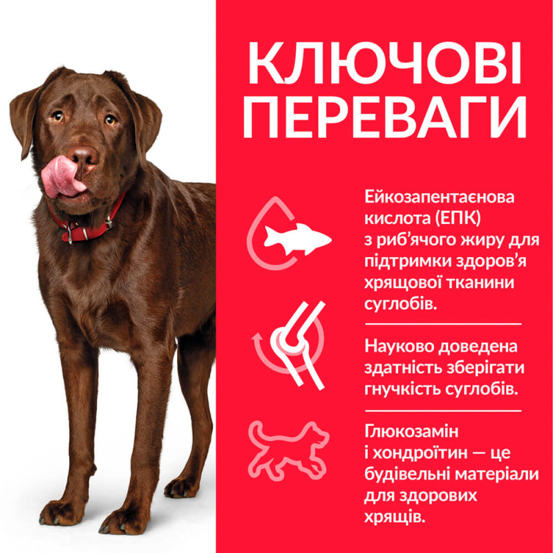 Hill's SP Canine Adult Healthy Mobility Large Breed Chicken сухий корм з куркою для собак великих порід 14 кг - фото 2