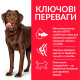 Hill's SP Canine Adult Healthy Mobility Large Breed Chicken сухий корм з куркою для собак великих порід 14 кг - фото 2