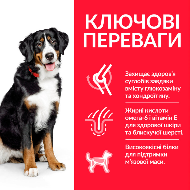 Hill's SP Canine Adult Large Breed Chicken сухой корм с курицей для собак крупных и гигантских пород 14 кг - фото 2