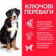 Hill's SP Canine Adult Large Breed Chicken сухой корм с курицей для собак крупных и гигантских пород 14 кг - фото 2