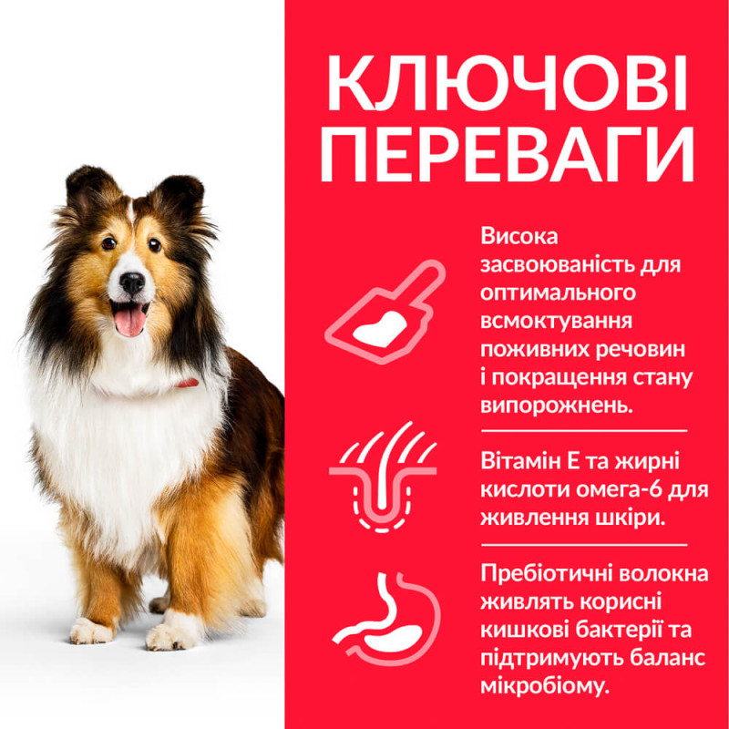 Hill's SP Canine Adult Sensitive Stomach & Skin Medium сухой корм с курицей для собак с чувствительным пищеварением средних пород 14 кг - фото 2