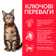 Hill's SP Feline Adult Chicken сухой корм с курицей для котов 3 кг - фото 2