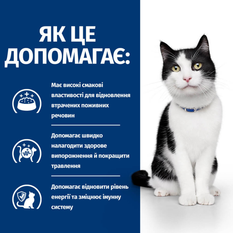 Hill's PD Feline I/D сухий корм для котів при захворюваннях кишково-шлункового тракту 8 кг - фото 2