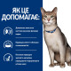 Hill's PD Feline K/D сухой корм с курицей для котов с заболеваниями почек 8 кг - фото 2