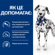 Hills PD Canine U/D Urinary Care сухой корм для собак с заболеваниями мочевого пузыря 4 кг - фото 2