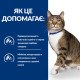 Hill's PD Feline S/D сухой корм для котов с мочекаменной болезнью 1.5 кг - фото 2